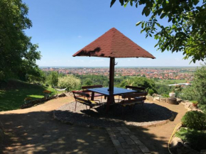 Vila Marija, Vršac